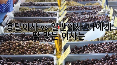 용달이사 vs 일반이사 🤔 나에게 딱 맞는 이사는? 🚚💨